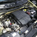 Panda 03071.JPG